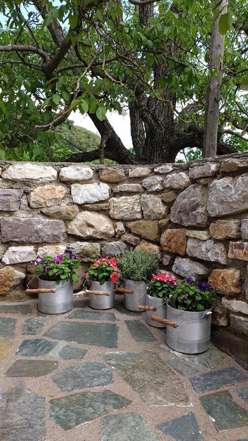 הוילה קרפניסיון The House In The Cobbled Road מראה חיצוני תמונה